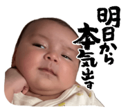 841455113