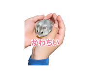 841455121