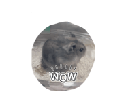 841455128