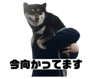 841455228