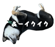 841455232