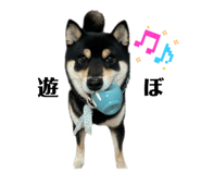 841455234
