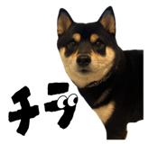 841455237