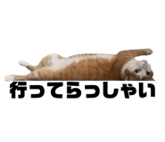 841455248