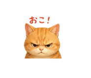 841455655