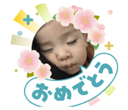 841455981