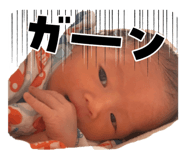 841456008
