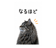 841456232