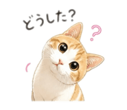 841456279