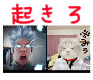 841456337