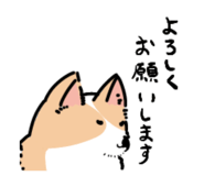 841456377