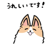 841456381