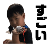 841456410