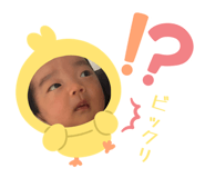 841456527