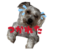 841456830