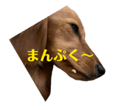 841457007