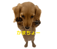 841457014