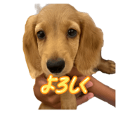 841457016