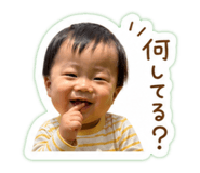 841457452