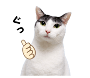 841457573