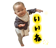 841457762