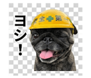 841457795