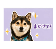 841457858