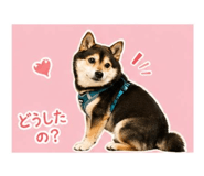 841457860