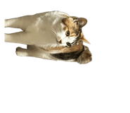 841457865