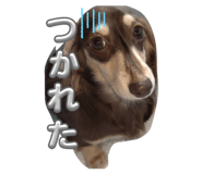 841457947