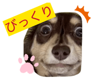 841457948