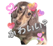 841457949