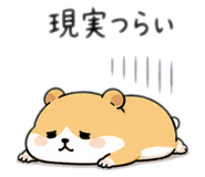 841458979