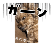 841459144