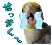 841459398