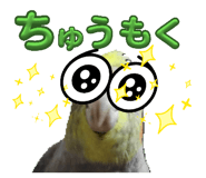 841459401