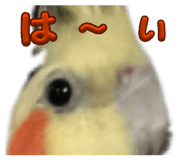 841459410