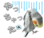 841459420