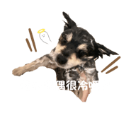 841463143
