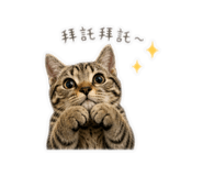 841464257