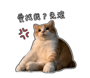 841464464