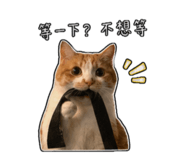 841464470