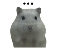 841465350