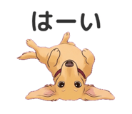 841465945