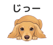 841465952