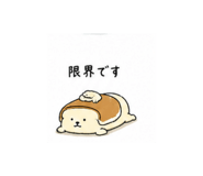 841465980