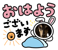 841466061