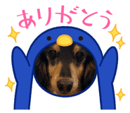 841466063