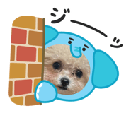 841466359