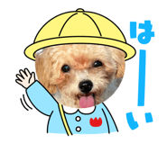 841466365
